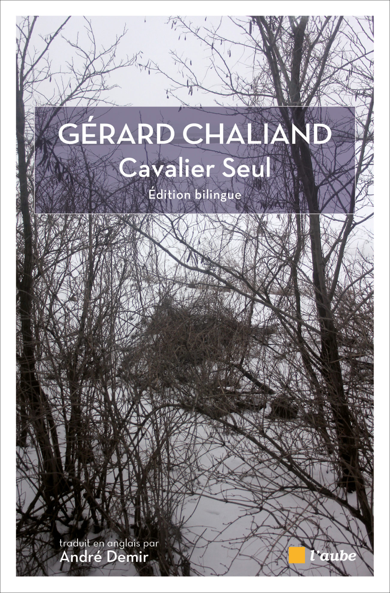 Cavalier seul