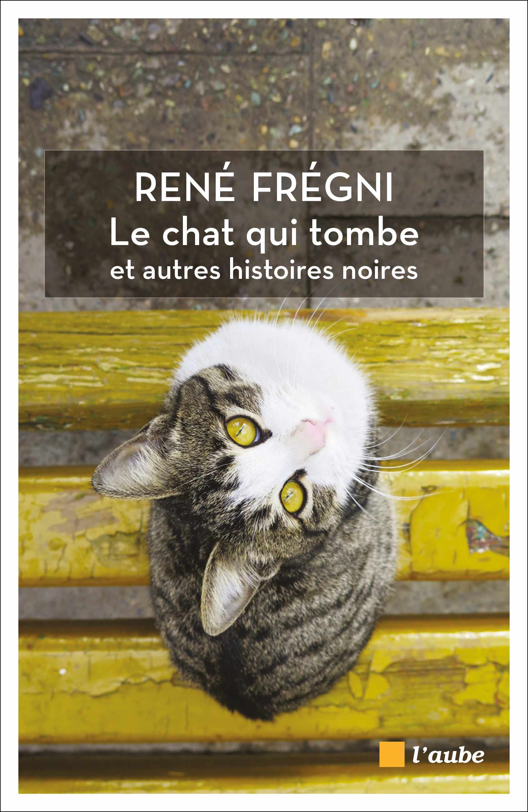 Le chat qui tombe et autres histoires noires
